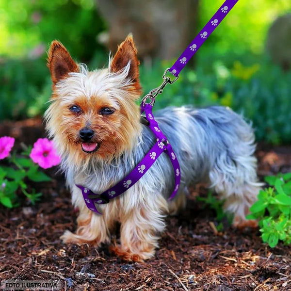 Guia para cães Colagem para cães Ajustável para cães pequenos Pet 1,20 m