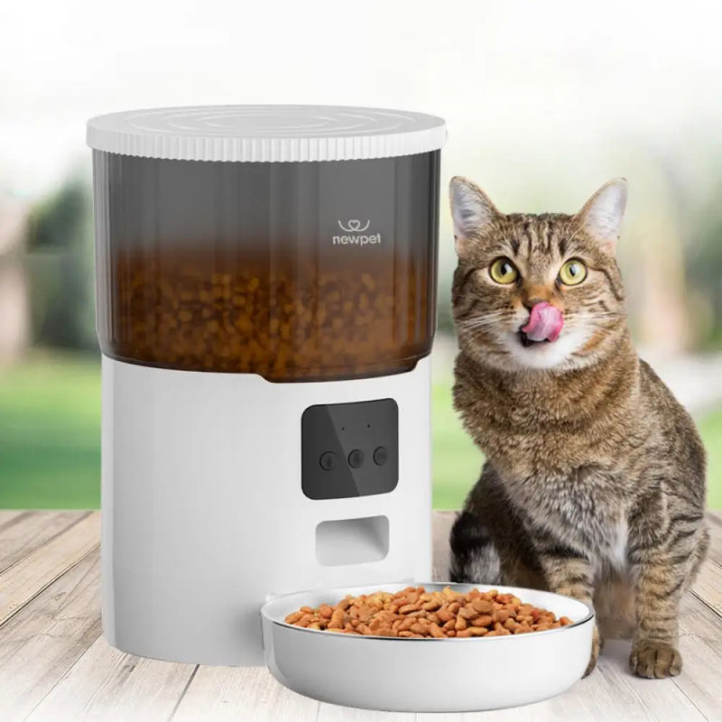 Alimentador de temporização para gatos 4L, aplicativo inteligente, alimentador de gatos, aço inoxidável, comida para animais de estimação, alimentação remota, dispensador automático, adequado para gatos e cães